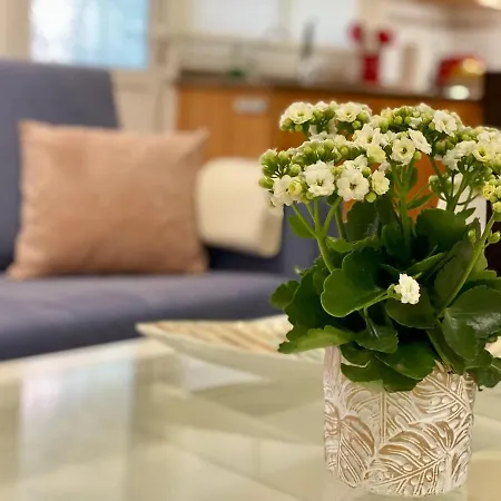 Elegante Piso En Апартаменты Пуэрто-де-ла-Крус